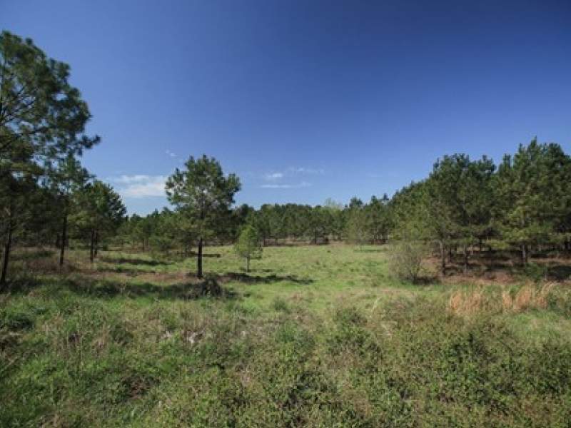 Image for 162 Acre Recreational Property