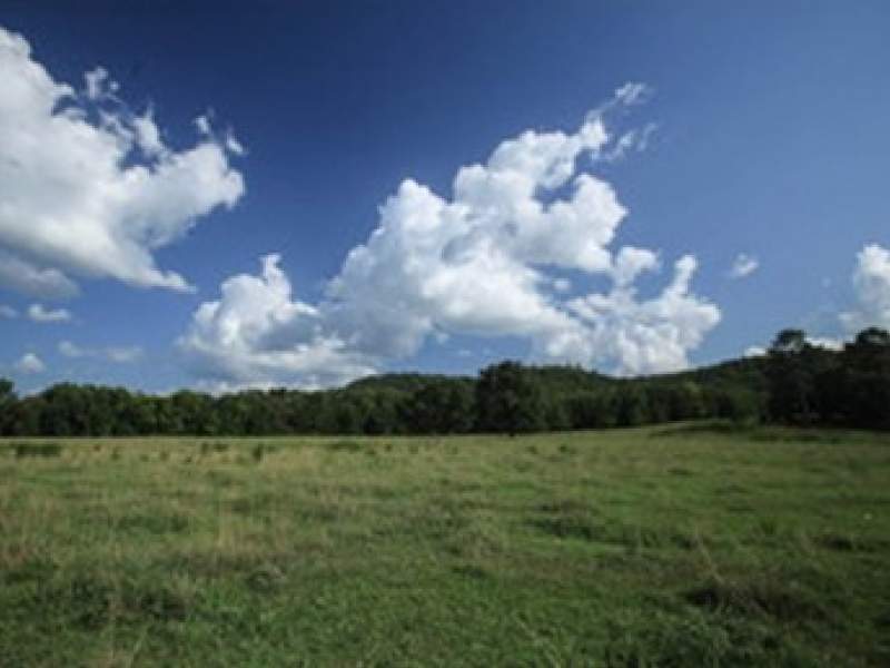 Image for 275-Acre JG Farms