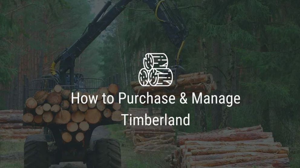 Timber