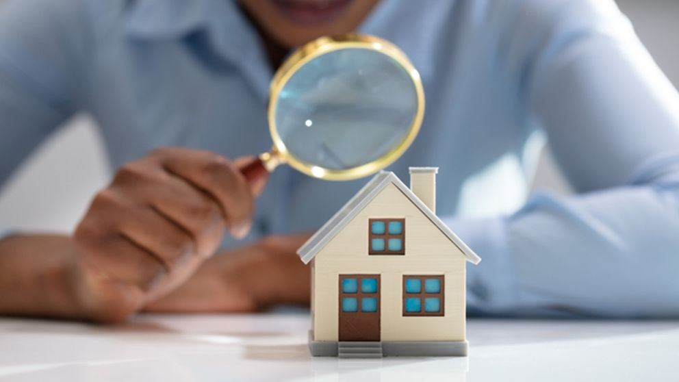 Auctions inspections