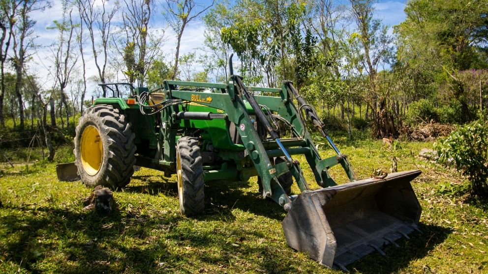 Pexels-elizabeth-tamara-27565957-18779013