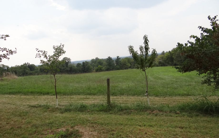 2 BR/1 BA HOME w/POND & GARAGE APARTMENT ON 14+ ACRES in LOUDOUN COUNTY, VA