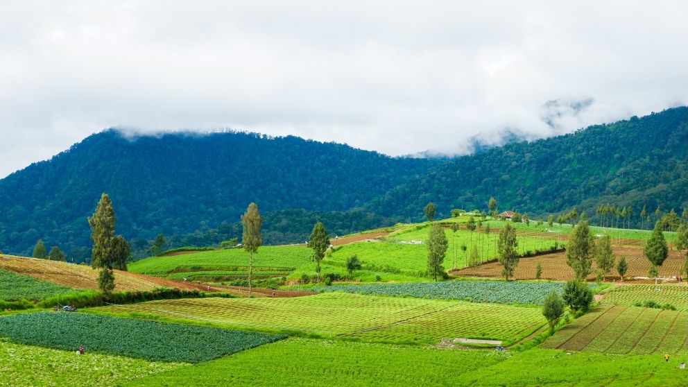 Aldrin-rachman-pradana-k51kzbpbe0e-unsplash