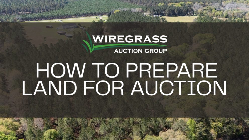 How to Prepare Land for Auction