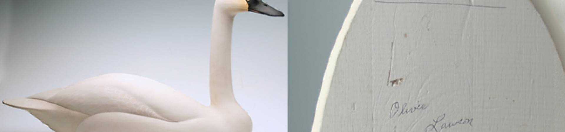 Swan-decoy-oliver-larson